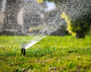 Regenwasseranlagen für Gartenbewässerung